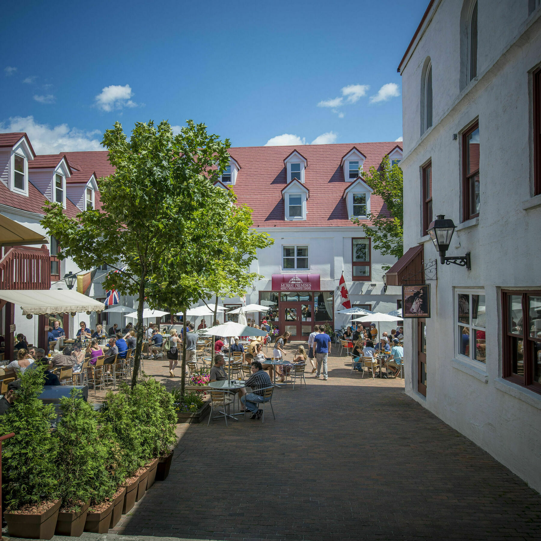 Murray Premises Hotel St. John's Eksteriør billede